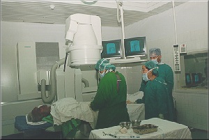 dss